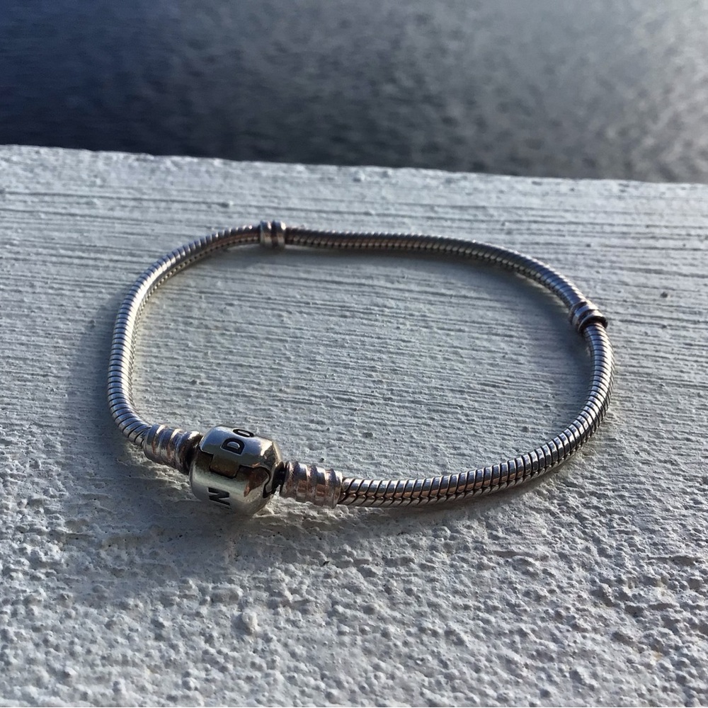 Pandora Moments Snakechain Sterling Silver Starter Bracelet